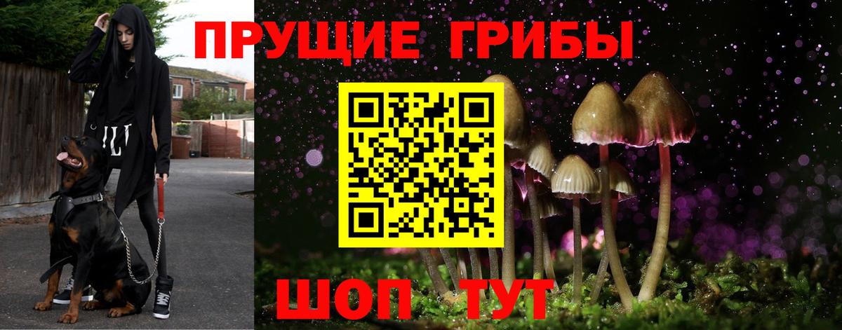 Галлюциногенные грибы MAGIC MUSHROOMS  магазин продажи наркотиков  Вход с VPN  Люберцы  Псилоцибиновые грибы прущие грибы 